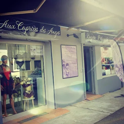 Aux Caprices des Anges Valence – Boutique Érotique